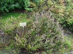 Als eine der wenigen...