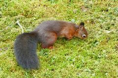 Bitte nicht st&ouml;ren!