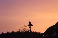 Sonne in Sicht!