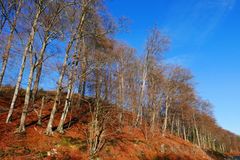 Viel Sonne am Sonntag