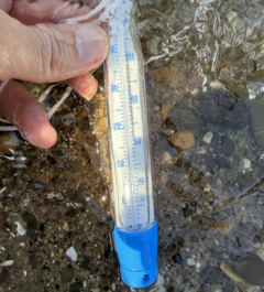 Rheinwasser stellenweise &uuml;ber 30 Grad warm