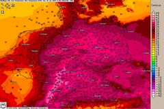 Extremhitze bis 39 °C – nachmittags Unwettergefahr!