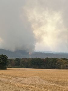 Waldbrand in der Eifel