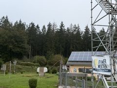 Borkenk&auml;fer und Hitze: Fichtensterben vor unserer Wetterstation