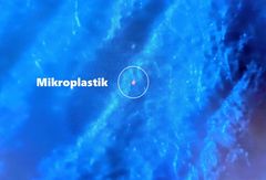 Erste Mikroplastik-Spuren im Kaltfront-Regen